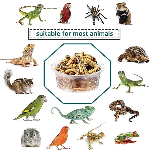 ANCKNE 200 pcs 0.5oz Crested Gecko Food and Water Feeding Cups | Reptile Feeder Bowls | for Lizard and Other Small Pet Ledge Accessories Supplies