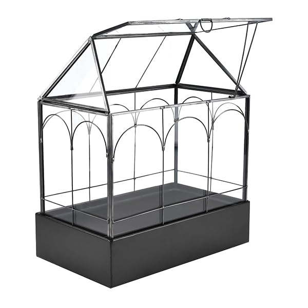 Large Glass Terrarium with Metal Tray, Glass Greenhouse Terrarium, Succulent Terrarium Kit for Succulents, Cacti, Snails, Spiders, and Miniature Reptiles, Black (Velvet Bottom)