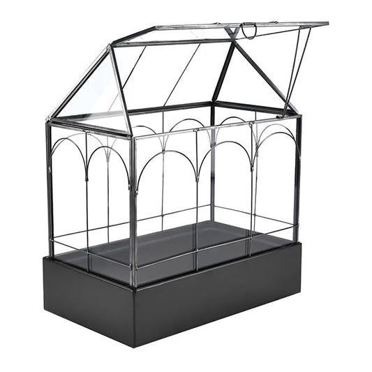 Large Glass Terrarium with Metal Tray, Glass Greenhouse Terrarium, Succulent Terrarium Kit for Succulents, Cacti, Snails, Spiders, and Miniature Reptiles, Black (Velvet Bottom)