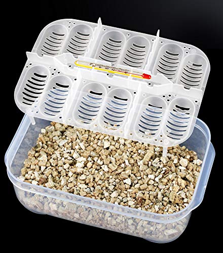 OMEM Reptile Breeding Box, Reptile Egg Incubators, Hatchery Box, for Hatching Gecko, Lizards, Lions Mane, Reptiles (Thermometer, Transparent Box)