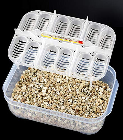 OMEM Reptile Breeding Box, Reptile Egg Incubators, Hatchery Box, for Hatching Gecko, Lizards, Lions Mane, Reptiles (Thermometer, Transparent Box)