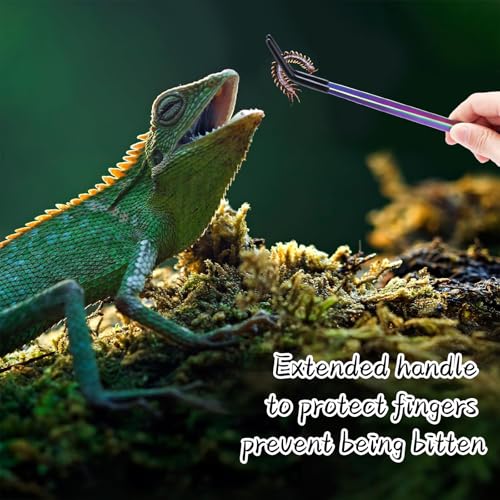 2PCS Stainless Steel Reptile Feeding Tongs with Rubber Tip, 10.6" Straight & Curved Long Tweezers, Perfect for Aquariums & Crafts - Ideal Bearded Dragon & Snake Tank Accessories, Terrarium Supplies