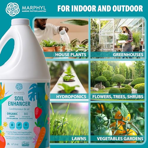 MARPHYL All-Purpose Plant Food – Organic Nutrient-Rich Fertilizer & Soil Enhancer for Indoor & Outdoor Flowers, Vegetables, Succulents, Bamboo & Hydroponics - size: 33.8 oz