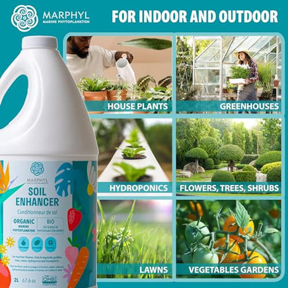 MARPHYL All-Purpose Plant Food – Organic Nutrient-Rich Fertilizer & Soil Enhancer for Indoor & Outdoor Flowers, Vegetables, Succulents, Bamboo & Hydroponics - size: 1.05 gal