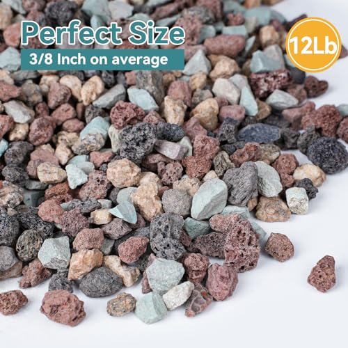 12lbs Horticultural Lava Rocks for Plants, 3/8 Inch Cactus Rocks | Potting Soil Amendment for Succulents, Cacti, Bonsai, Decorative Gravel Plant Drainage Volcanic for Terrarium, Top Dressing