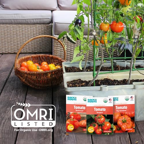Back to The Roots Organic Seed Starting, Compressed Block expands to 12 Quarts, Made for Herbs, Veggies, Flowers - size: 12 Quart, style: Seed Starting Mix