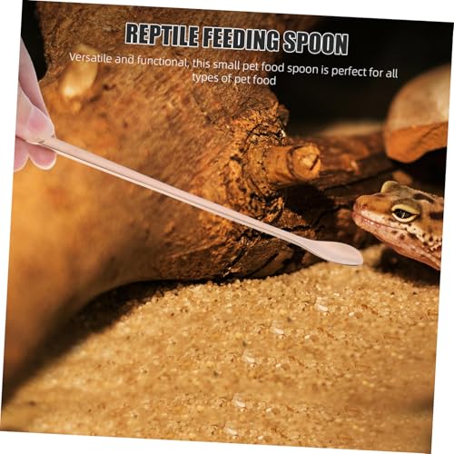 BESPORTBLE 2pcs Reptile Food Feeding Spoon Handle Stainless Steel Scoop for Lizards Small Animals Convenient Pet Feeding Tool for Reptiles