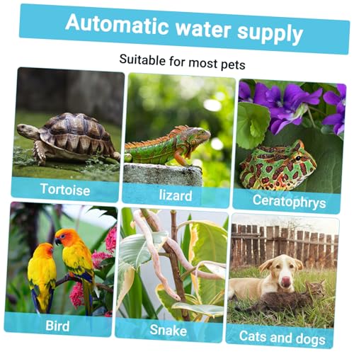 Balacoo Reptile Water Feeder - Automatic Reptile Water Dispenser, Reptile Food Dish Bowl for Turtle Bearded Dragons Lizards Accessories, Size 1, Grey