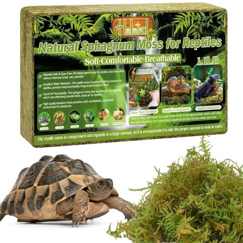 Halatool 1.1 LB Sphagnum Moss for Reptiles - Green Terrarium Moss | Expands to 25 QT, Reptile Bedding for Snakes, Tortoises, Geckos, Lizards, Humidity Retention & Temperature Buffering - size: 1.1LB