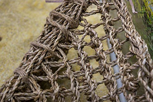 Penn-Plax Reptology Lizard Lounger Corner Triangle with Ladder– 100% Natural Seagrass Fiber – Great for Bearded Dragons, Anoles, Geckos, and Other Reptiles – Large - size: Large