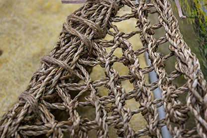 Penn-Plax Reptology Lizard Lounger Corner Triangle with Ladder– 100% Natural Seagrass Fiber – Great for Bearded Dragons, Anoles, Geckos, and Other Reptiles – Large - size: Large
