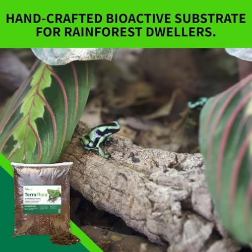 The Bio Dude Terra Flora Bioactive Reptile or Amphibian Substrate 18 quarts for terrariums and vivariums. Great for Poison Dart Frogs, Red Eye Tree Frogs, Crocodile Skinks and Other habitats