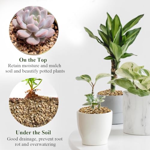 FANTIAN 2 lbs Maifanitum Stone for Plant, 5-8 MM Gravel Rocks for Succulent | Succulent Cactus Soil Potting Mix, Promote Soil Root Growth, Water Drainage and Plant Growth - color: Maifanitum