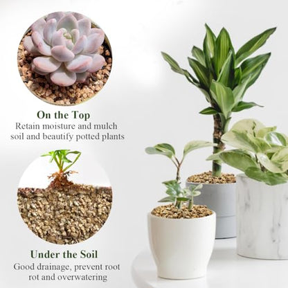 FANTIAN 2 lbs Maifanitum Stone for Plant, 5-8 MM Gravel Rocks for Succulent | Succulent Cactus Soil Potting Mix, Promote Soil Root Growth, Water Drainage and Plant Growth - color: Maifanitum