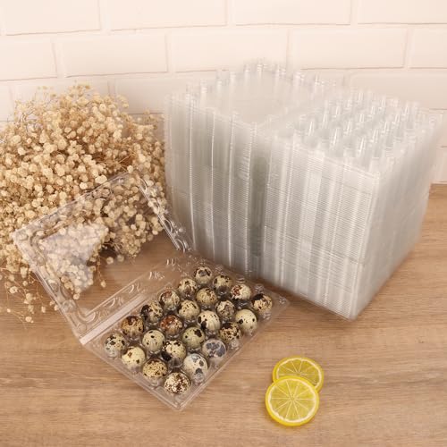 120 Pack Quail Egg Cartons - Clear Plastic Trays Hold 24 Eggs Securely, Ultimate Small Egg Holders for Bulk Storage and Display - size: 120 Pack Quail Egg Cartons 24 Grids