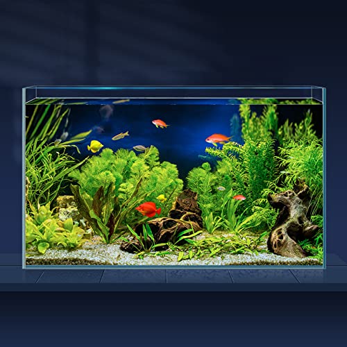 LAQUAL 10 Gallon Ultra Clear Glass Fish Tank, Rimless Low Iron Aquarium for Betta/Nano/Goldfish/Snail/Shrimp, Big Fish Tank & Cover Set & Feeding Ring & Cleaning Tools - color: 10 Gal