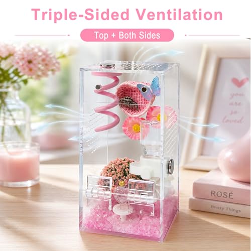 Jumping Spider Enclosure,DIY Insects Habitat,Small Reptile Terrarium Glass House Accessories Set,with Jumping Platform Hide Water Feeder (Pink B) - color: Pink B