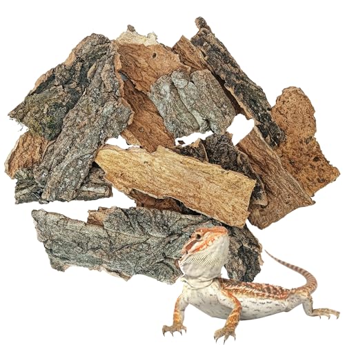 BNOSDM Reptile Cork Bark Substrate 0.6LB Tortoise Bedding for Habitat Natural Flat Cork Wood Bulk Terrarium Reusable Champagne Bark for Lizard, Crested Gecko, Spider, Chameleon, Ball Python, Tree Frog - size: 0.6LB