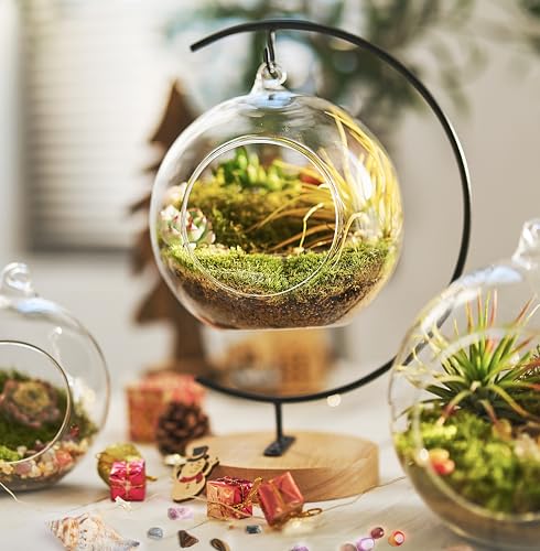 DIY Terrarium Kit with Live Moss, 15-Piece Glass Globe Set | Complete DIY Experience, Beginner Friendly, Wooden Display Stand, Gift-Ready Set, Indoor Nature Decor, Easy Assembly