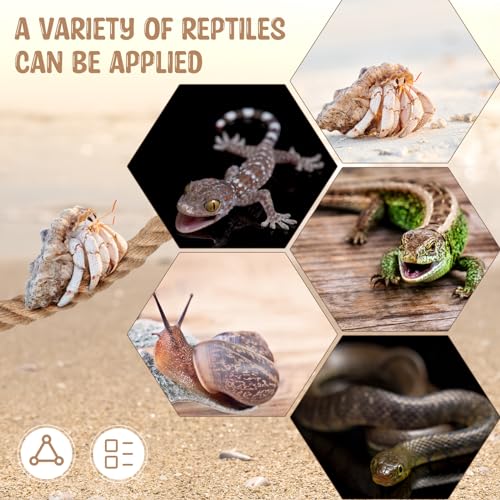Hermit Crab Toys Hermit Crab Climbing Jute Rope Ladder with Hooks Reptile Tank Terrarium Accessories Habitat Decor for Lizards Geckos Snakes(1 Pcs,23.6 Inch) - size: 23.6 Inch