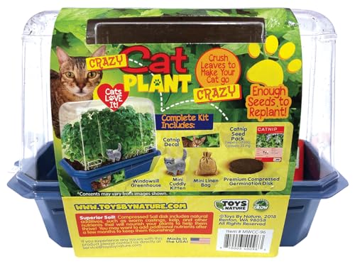 Toys by Nature Miniature Worlds Organic Catnip Windowsill Terrarium Starter Kit, Complete Supplies and Easy-to-Grow Indoor Plants Linen Sachet and Seeds Included! (Crazy Cat Plant) - style: Crazy Cat Plant