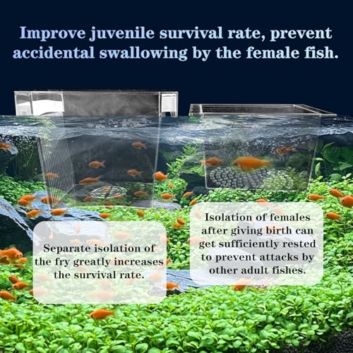 WEAVERBIRD Aquarium Fish Breeder Box, Acrylic Square Isolation Hatchery | Fish Isolation Breeding, Hatching Incubator, For Baby Fish Shrimp Clownfish Guppy - size: Square
