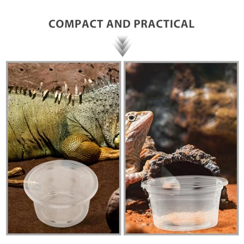 50pcs Small Reptile Water Dish and Food Bowl Set 25ml Plastic Terrarium Feeding Cups for Leopard Gecko, Snake, Frog, Lizard, Bearded Dragon, Suitable for Amphibians and Insect Pets