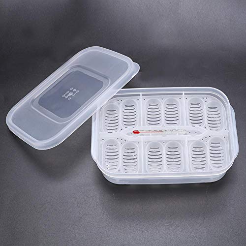 Reptile Breeding Box, Plastic Reptile Egg Incubators Hatchery Box with Transparent Lid for Hatching, Lizards, Lions Mane, Reptiles