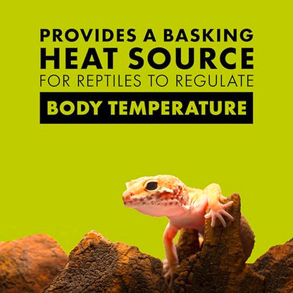 Zilla Reptile Terrarium Heat Lamps Incandescent Bulb, White Spot, 150W - size: Pack of 1, style: Day White (150W)