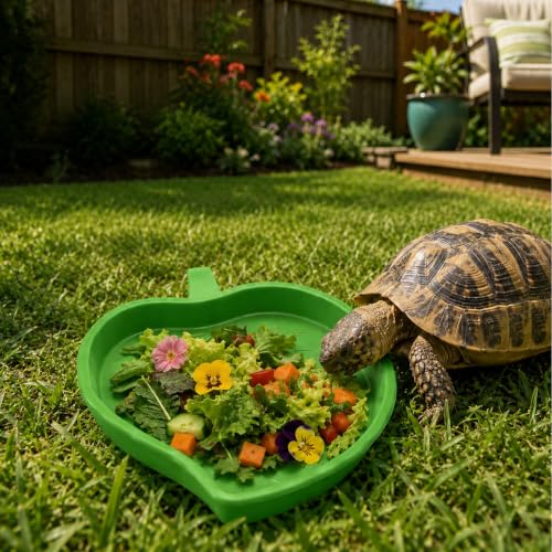 YAPROMO 2 Pcs Leaf Reptile Food Dish, Reptile Water Bowl, Turtle Feeding Dishes for Tortoise Corn Snake Crawl Pet Bearded Dragon, Lizards, Gecko Drinking and Eating