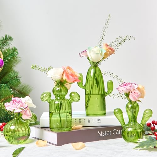 XXXFLOWER Cactus Plant Propagation Station 4 Cactus Vase Terrarium Jars | Desk Plant Cuttings Plant Holders Unique Glass Flower Vase for Hydroponics Plants for Plant Lovers Home Garden Decor - size: 4PCS Cactus Vase