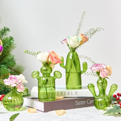 XXXFLOWER Cactus Plant Propagation Station 4 Cactus Vase Terrarium Jars | Desk Plant Cuttings Plant Holders Unique Glass Flower Vase for Hydroponics Plants for Plant Lovers Home Garden Decor - size: 4PCS Cactus Vase