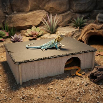 PINVNBY Bearded Dragon Basking Platform, Wood Reptile Hides and Caves, Crested Gecko Hide with Slate Rock, Leopard Gecko Tank Accessories for Small Lizard Snake (M: 9.84x5.9x2.76 inches) - size: M: 9.84x5.9x2.76 inches