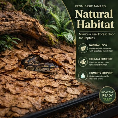 MAQIHAN 5oz Oak Leaf Litter - Dry Substrate for Reptiles Isopod & Bioactive | Whole Natural Oak Leaves for Terrarium, Forest Floor Habitat, Premium Enclosure Bedding for Snake, Frog, Gecko, Lizard - size: 5 OZ