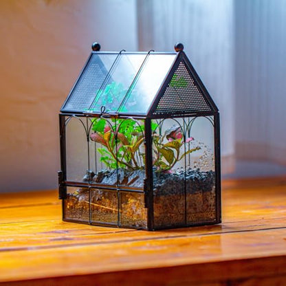 NCYP Small Glass Terrarium Enclosure with Mesh for Jumping Spiders, Micro House Shaped Small Spiders Vented Glass Terrarium, Home Decor Black, 5.8" x 3.8" x 7" (No Plants) - size: 5.8" x 3.8" x 7"