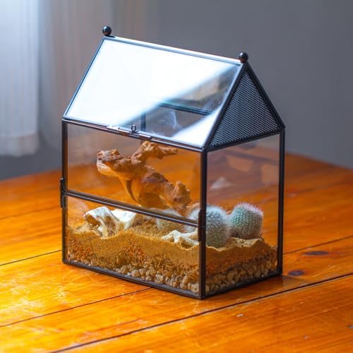 NCYP Glass Enclosure with Vent Holes for Small Insect, Jumping Spiders, Mantis - 7.5" x 4.9" x 9" Front Opening Door House Shape Vented Glass Terrarium, Home Decor Black (Terrarium Only) - size: 7.5" x 4.9" x 9"