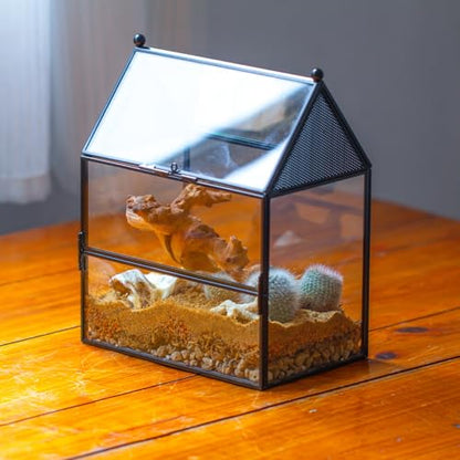 NCYP Glass Enclosure with Vent Holes for Small Insect, Jumping Spiders, Mantis - 7.5" x 4.9" x 9" Front Opening Door House Shape Vented Glass Terrarium, Home Decor Black (Terrarium Only) - size: 7.5" x 4.9" x 9"