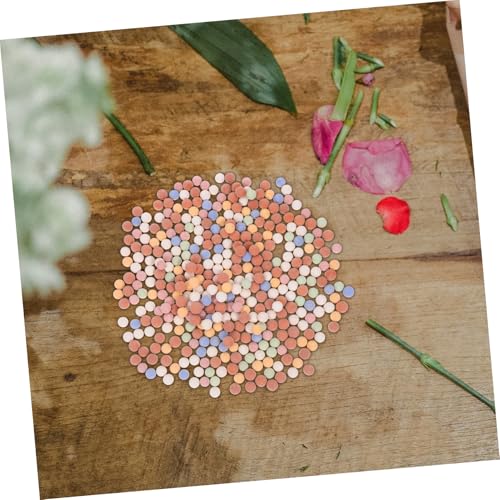 BESPORTBLE Decorative Plant Pebbles Hydroponic Clay Pebbles for Succulent Potting Aesthetic Drainage for Indoor Gardening