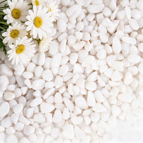 10 lbs White Gravel, 3/8 Inch Decorative Rocks Suitable for Potted Plants,Small Rocks for Plants, Vases, Cactus Potted Plants, Fish Tanks - color: White, size: 3/8 Inch 10 LB