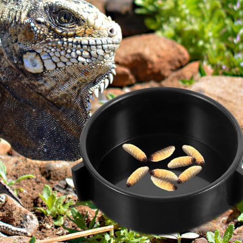 4Pcs Ceramic Reptile Food Bowls and Water Dishes Multi-Function Worm Dish for Lizards Bearded Dragons Terrarium Feeding Accessories