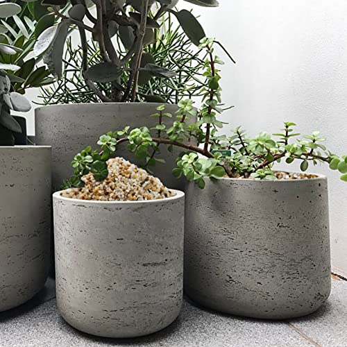 10lbs Coarse Sand Stone for Decorative Rocks, Soil Cover Bonsai, Succulent, Terrarium, Cactus, Aquarium, Garden, DIY, Natural Sand Top Dressing