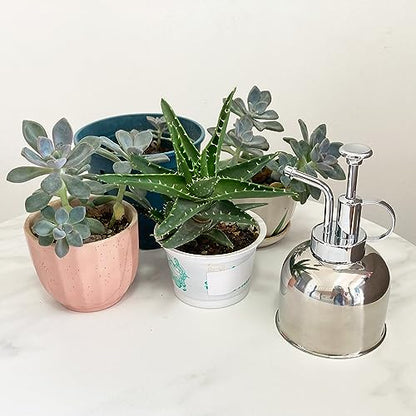 Stainless Steel Plant Sprayer, Small Watering Can for Indoor Potted Plants - color: 10oz/Gloss Silver