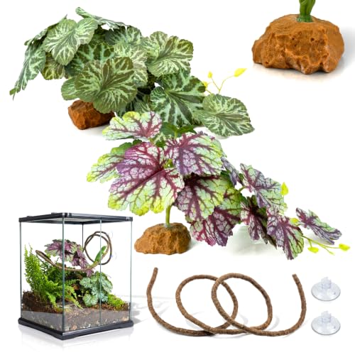 3PC Reptile Plants for Terrarium Tank – Realistic Artificial Plants with Hanging Vine, Resin Stone Base – Jungle Enclosure & Habitat for Tortoise, Chameleon & Amphibians(Begonia Rex) - color: Begonia Rex