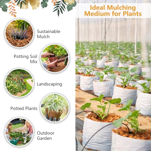 2 Pack Coco Chips for Plants- 2.2lb Organic Coconut Husk Potting Mix | Coconut Mulch Coco Husk Chips for Garden, Potted Plants, Orchid Repotting Soil Mix, High Expansion & Moisture Retention - size: 2 Pack