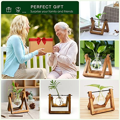 Kingbuy Plant Propagation Station Bulb Vase, 1 Bulb Vase | Air Plant Terrarium, Wooden Swivel Holder, Desktop Glass Planter, For Indoor Water Plants - size: 1 Bulb Vase