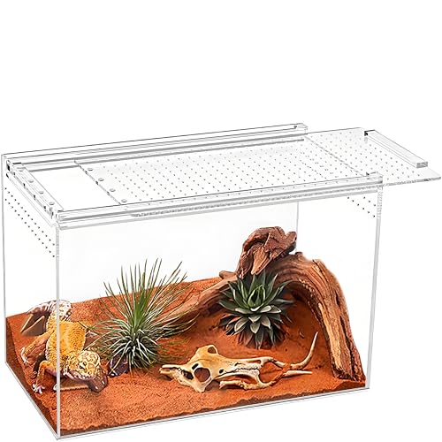 8" x 6"x 3.9" Mini Reptile Terrarium,Small Plastic Terrarium for Lizards Frogs Snakes,Transparent Spider Scorpion Insect Enclosure with Ventilation,for Pet Breeding Molting and Isolation Habitat