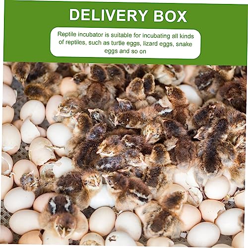 HEMOTON 2pcs Compartment Reptile Egg Incubation Tray Lightweight Breeding Box for Lizard Snake and Transparent Design for Easy Observation Reptile Supply