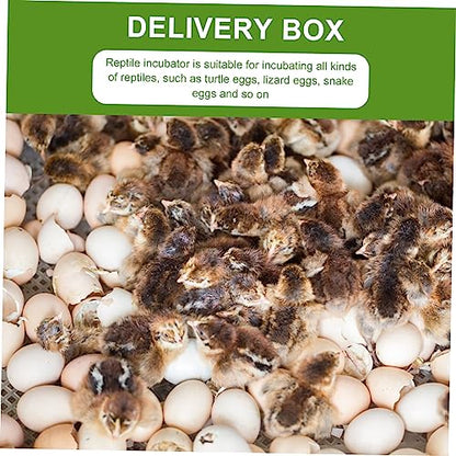 HEMOTON 2pcs Compartment Reptile Egg Incubation Tray Lightweight Breeding Box for Lizard Snake and Transparent Design for Easy Observation Reptile Supply