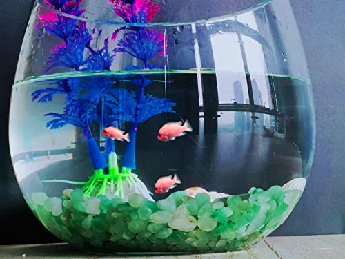ZHIYUXI Green Aventurine Crystal Chips Bulk Fish Tank Gravel Vase Filler Stones Bulk Crushed Crystals Gemstone Polished Natural Quartz Stone Healing Crystals Glass Stones Fish Rocks - color: F# Green Aventurine, size: 0.22lbs