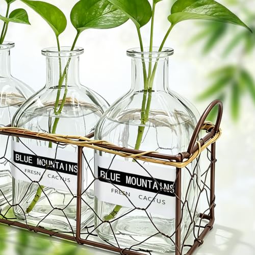 Plant Propagation Stations with Metal Stand, Willow-Woven Wire Mesh Retro Glass Planter for Hydroponic Propagating, Desktop Terrarium Flower Vase for Home Kitchen Office Decor Gifts, 3 Jars